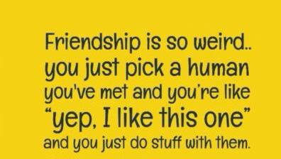 quote